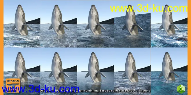 DA Big Ocean模型的图片8
