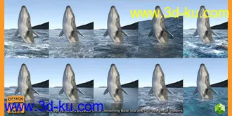 3D打印模型DA Big Ocean的图片