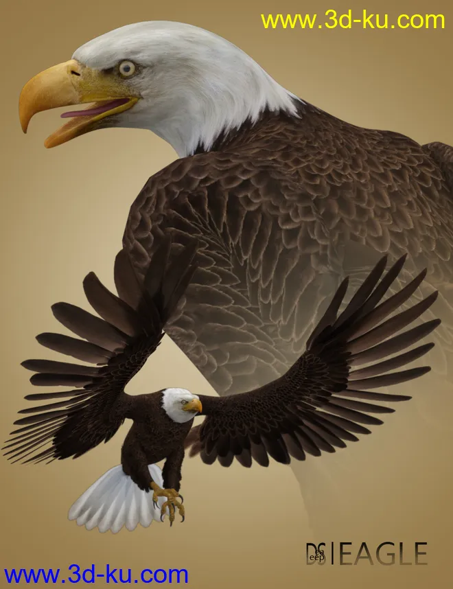 Deepsea's Eagle模型的图片1