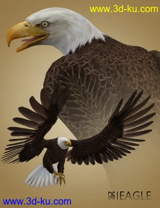 3D打印模型Deepsea's Eagle的图片