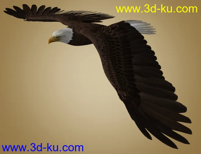 Deepsea's Eagle模型的图片2