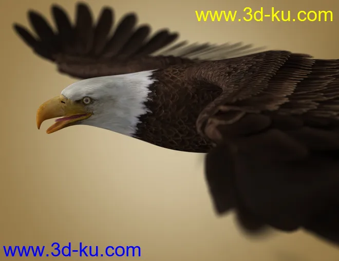 Deepsea's Eagle模型的图片3