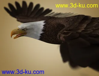 3D打印模型Deepsea's Eagle的图片