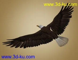 3D打印模型Deepsea's Eagle的图片