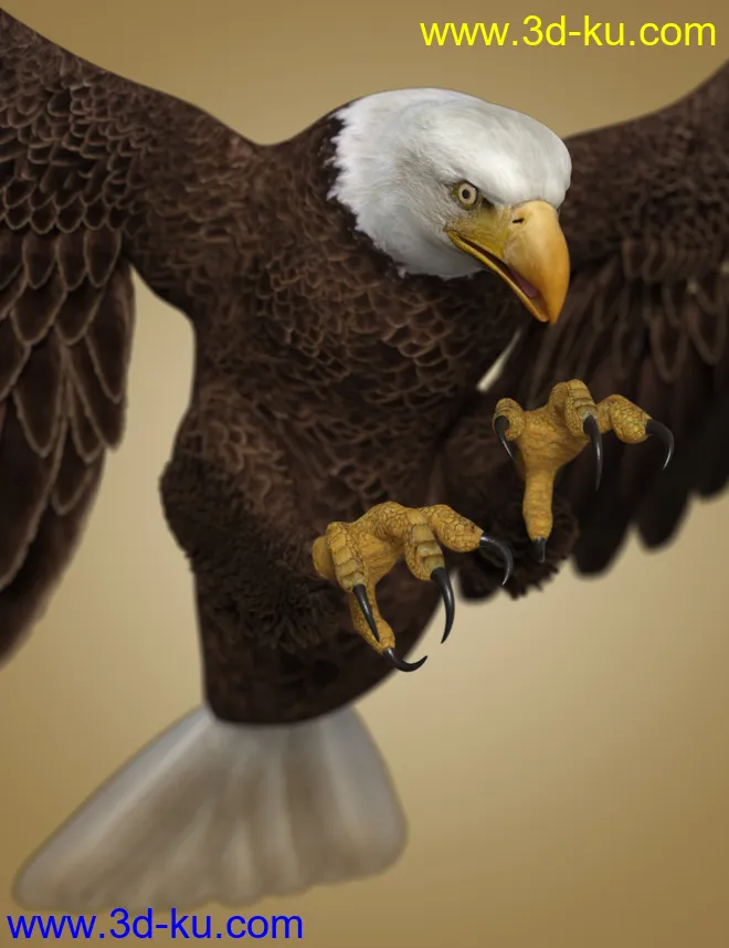 Deepsea's Eagle模型的图片5