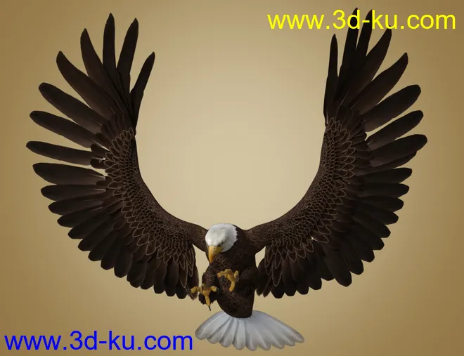 Deepsea's Eagle模型的图片6