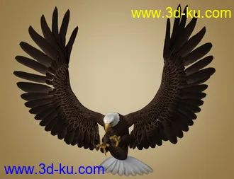 3D打印模型Deepsea's Eagle的图片