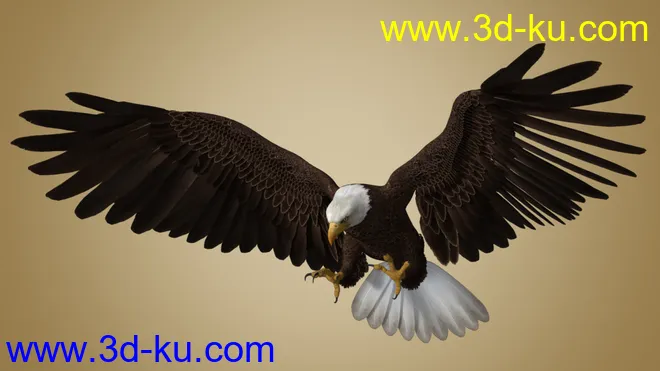 Deepsea's Eagle模型的图片8