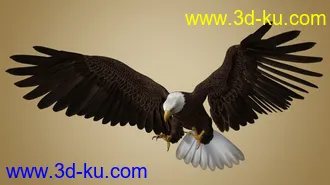 3D打印模型Deepsea's Eagle的图片