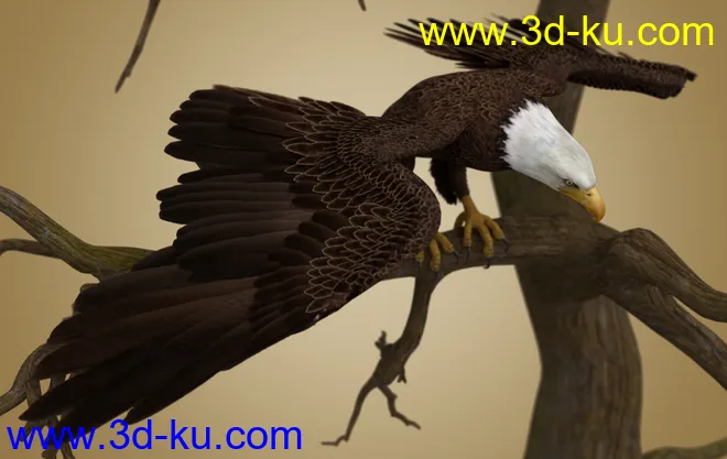 Deepsea's Eagle模型的图片9