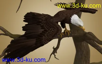 3D打印模型Deepsea's Eagle的图片