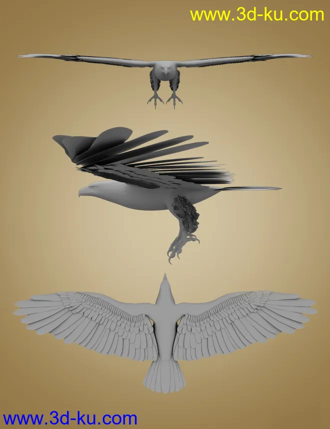 Deepsea's Eagle模型的图片10