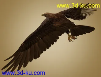 3D打印模型Deepsea's Eagle Aniblocks and Texture Add-On的图片
