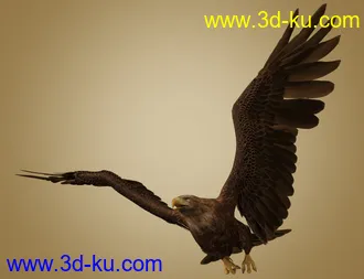 3D打印模型Deepsea's Eagle Aniblocks and Texture Add-On的图片