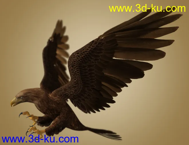 Deepsea's Eagle Aniblocks and Texture Add-On模型的图片4