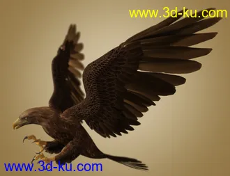 3D打印模型Deepsea's Eagle Aniblocks and Texture Add-On的图片