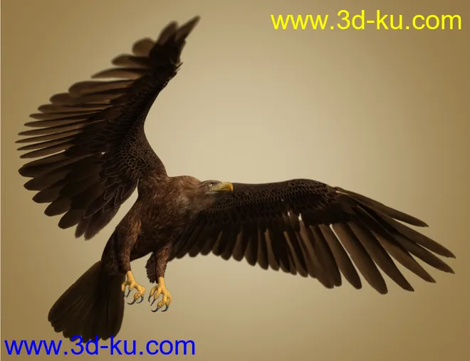 Deepsea's Eagle Aniblocks and Texture Add-On模型的图片6
