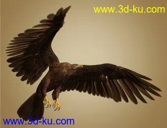 3D打印模型Deepsea's Eagle Aniblocks and Texture Add-On的图片