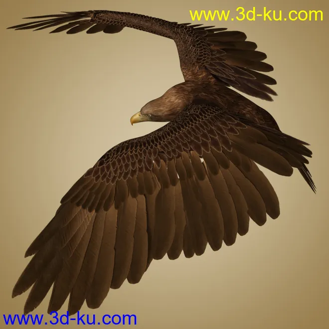 Deepsea's Eagle Aniblocks and Texture Add-On模型的图片7