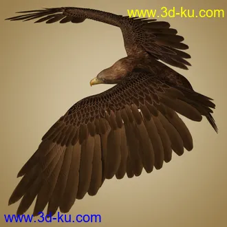 3D打印模型Deepsea's Eagle Aniblocks and Texture Add-On的图片