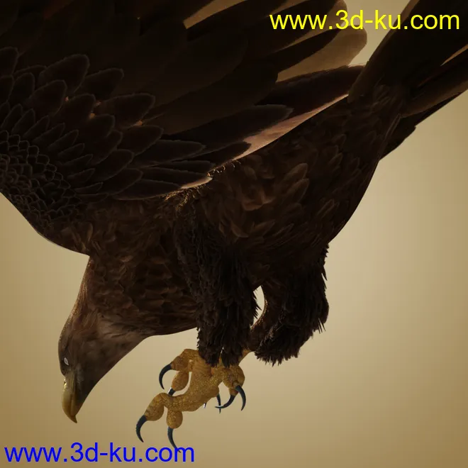 Deepsea's Eagle Aniblocks and Texture Add-On模型的图片8