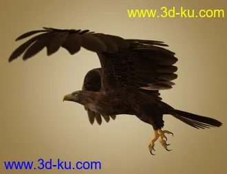 3D打印模型Deepsea's Eagle Aniblocks and Texture Add-On的图片
