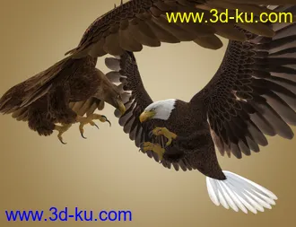 3D打印模型Deepsea's Eagle Aniblocks and Texture Add-On的图片