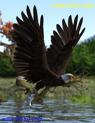 3D打印模型Deepsea's Eagle Poses and Fish的图片