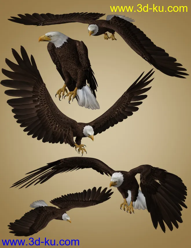 Deepsea's Eagle Poses and Fish模型的图片2
