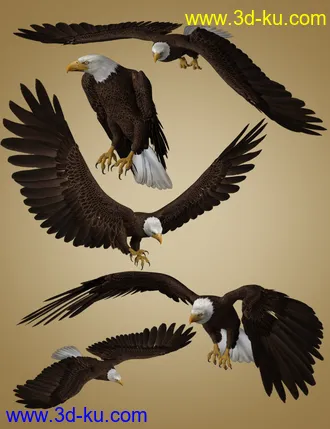3D打印模型Deepsea's Eagle Poses and Fish的图片