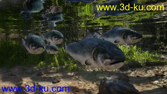Deepsea's Eagle Poses and Fish模型的图片3