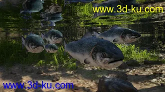 3D打印模型Deepsea's Eagle Poses and Fish的图片