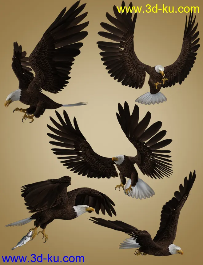 Deepsea's Eagle Poses and Fish模型的图片4