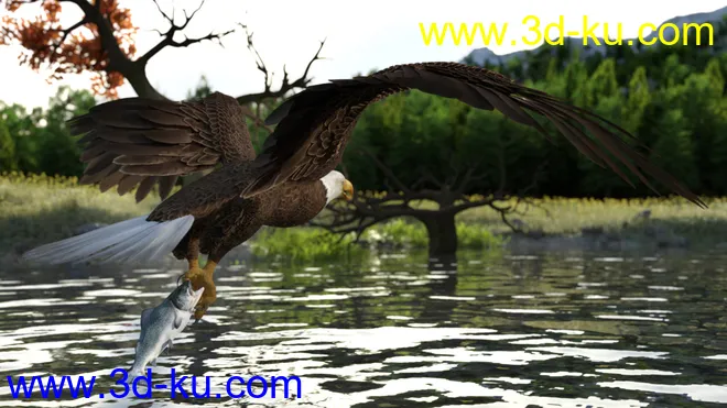 Deepsea's Eagle Poses and Fish模型的图片5