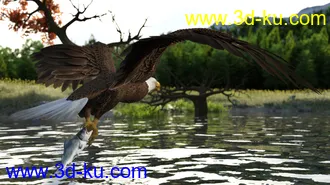 3D打印模型Deepsea's Eagle Poses and Fish的图片