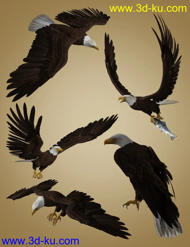 Deepsea's Eagle Poses and Fish模型的图片6
