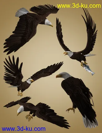 3D打印模型Deepsea's Eagle Poses and Fish的图片