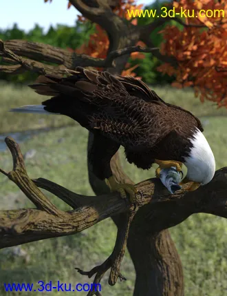 3D打印模型Deepsea's Eagle Poses and Fish的图片