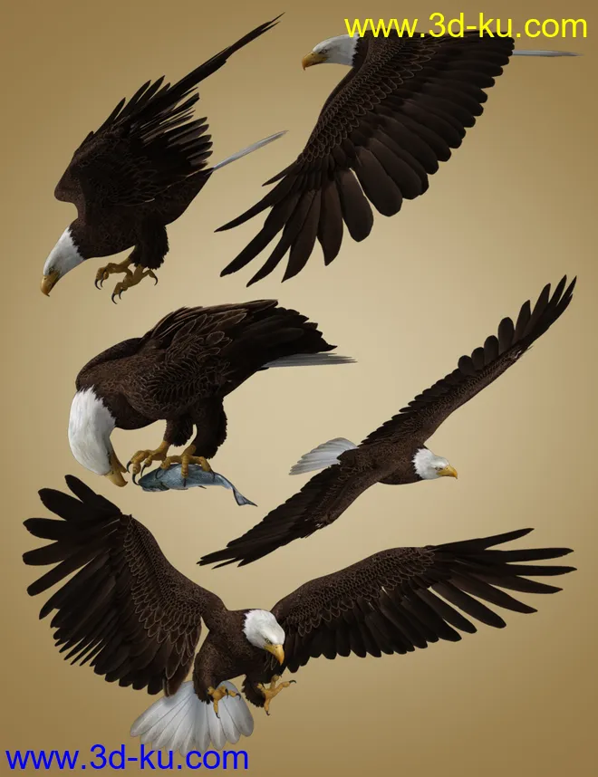 Deepsea's Eagle Poses and Fish模型的图片8