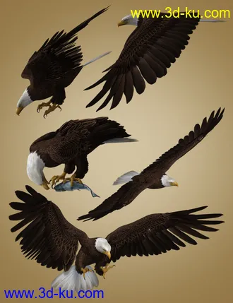 3D打印模型Deepsea's Eagle Poses and Fish的图片