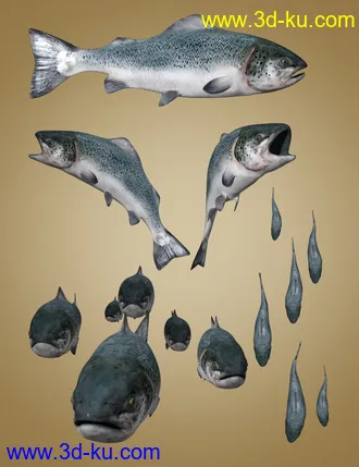 3D打印模型Deepsea's Eagle Poses and Fish的图片
