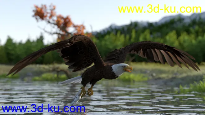 Deepsea's Eagle Tree Environment模型的图片3