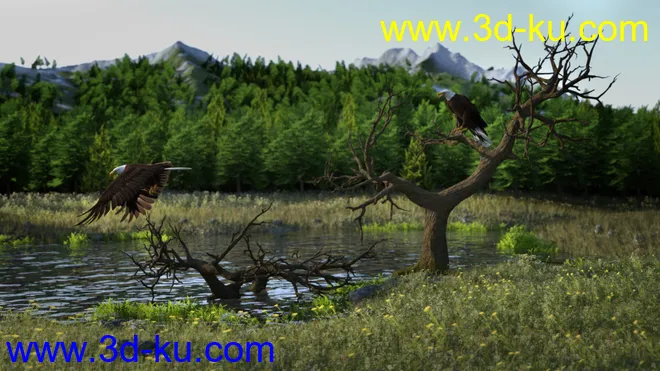 Deepsea's Eagle Tree Environment模型的图片6