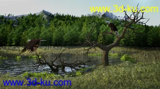 3D打印模型Deepsea's Eagle Tree Environment的图片
