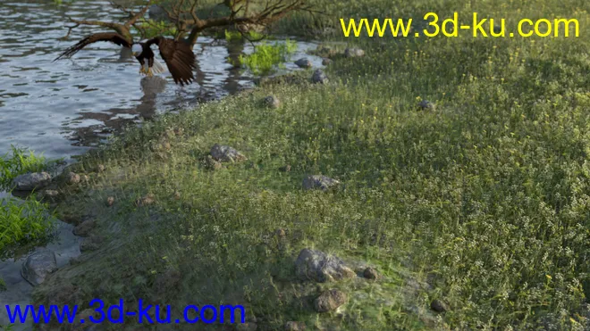 Deepsea's Eagle Tree Environment模型的图片8