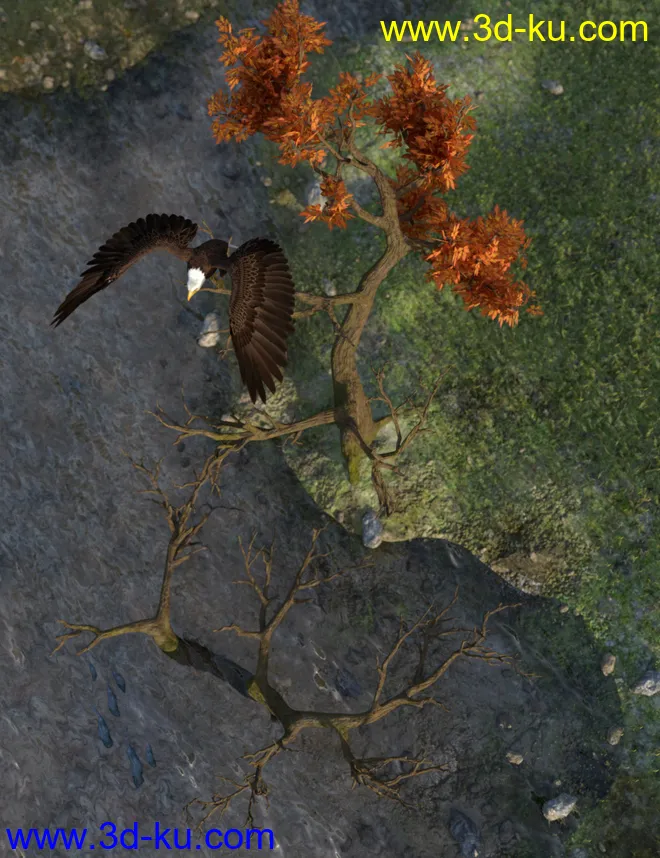 Deepsea's Eagle Tree Environment模型的图片9