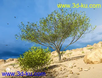 3D打印模型Desert Depression的图片