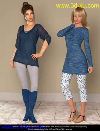 3D打印模型dForce Collection 02 - Winter Dress & Cape for Genesis 8 Female(s)的图片