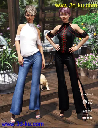 3D打印模型dForce Draped Pants Ensamble Textures的图片