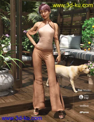 3D打印模型dForce Draped Pants Ensamble Textures的图片